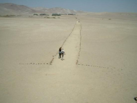 Paracas National Reserve-Ica Region必去景点