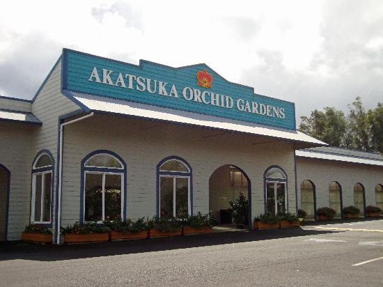 阿卡祖卡兰花园-火山必去景点