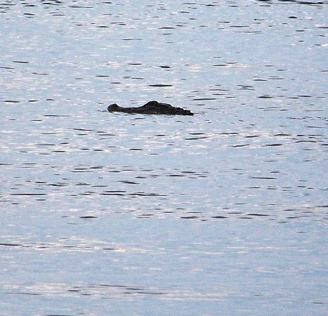 Crooked River State Park-St. Marys必去景点