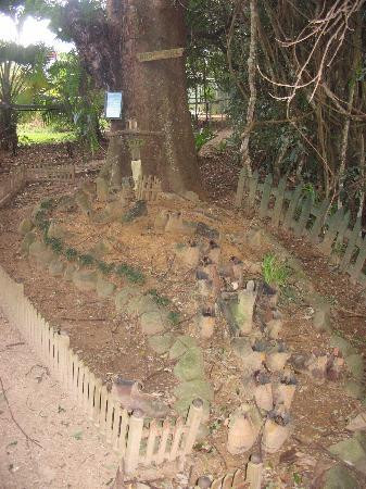 Crystal Creek Miniatures景点图片