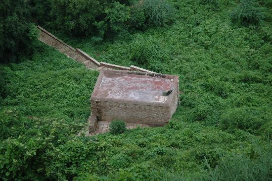 Gwalior Fort-瓜廖尔必去景点
