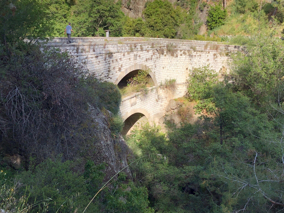 Trimiklini Double Bridge