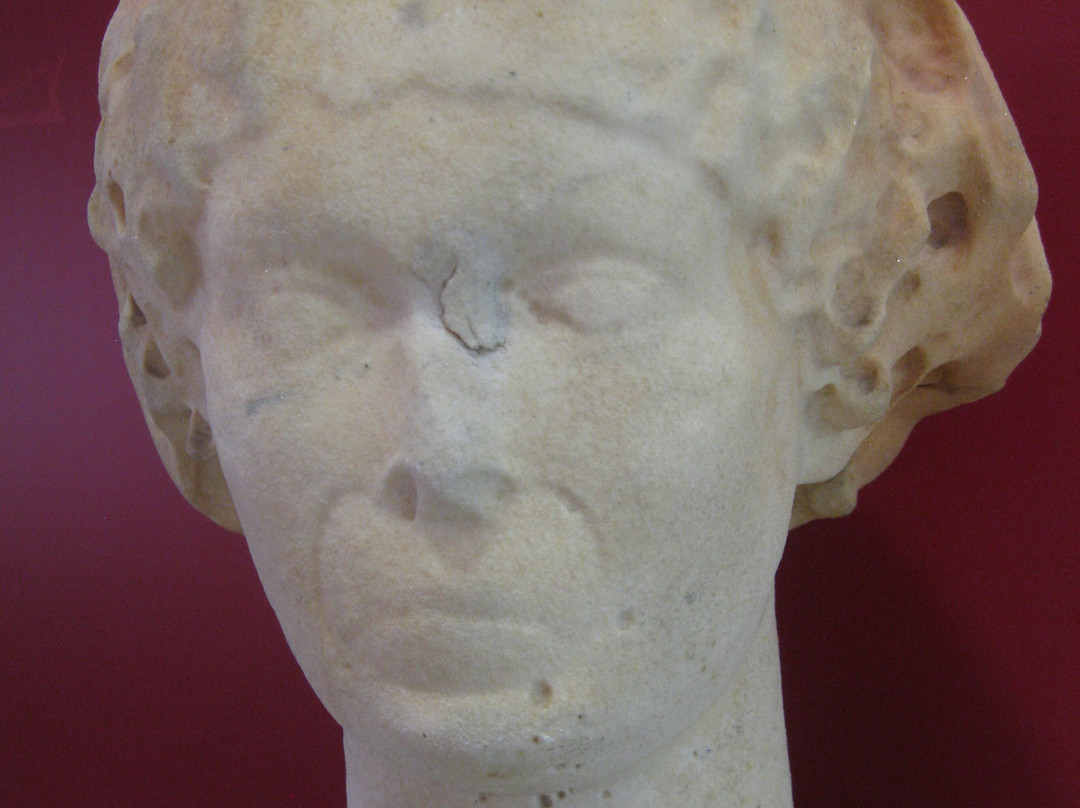 Museo Archeologico Civico L. Bruzza景点图片
