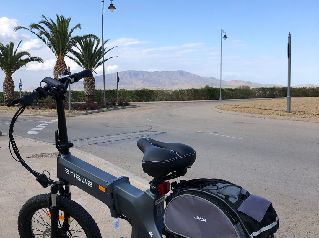 e.GO! e-Bike Rental Murcia景点图片