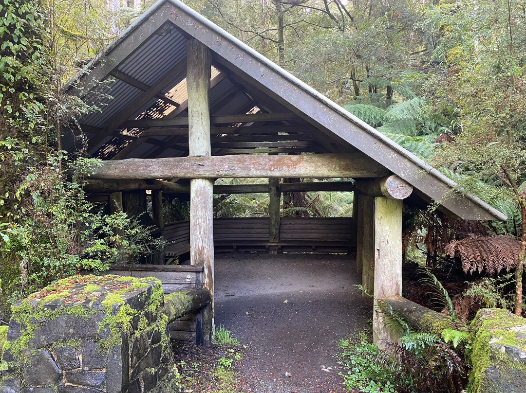 Cyathea Falls-Tarra Valley必去景点