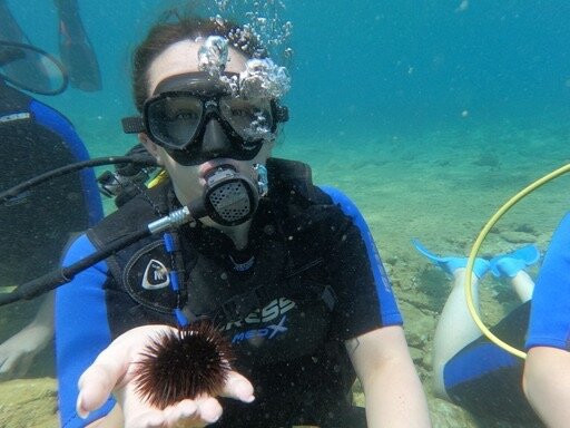 AquaDive-阿希亚贝拉希亚必去景点