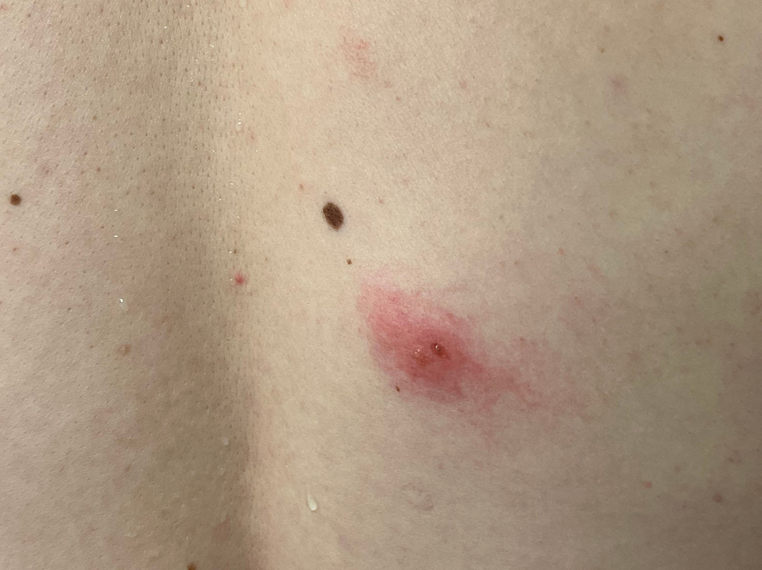 The Sturgis Motel主图