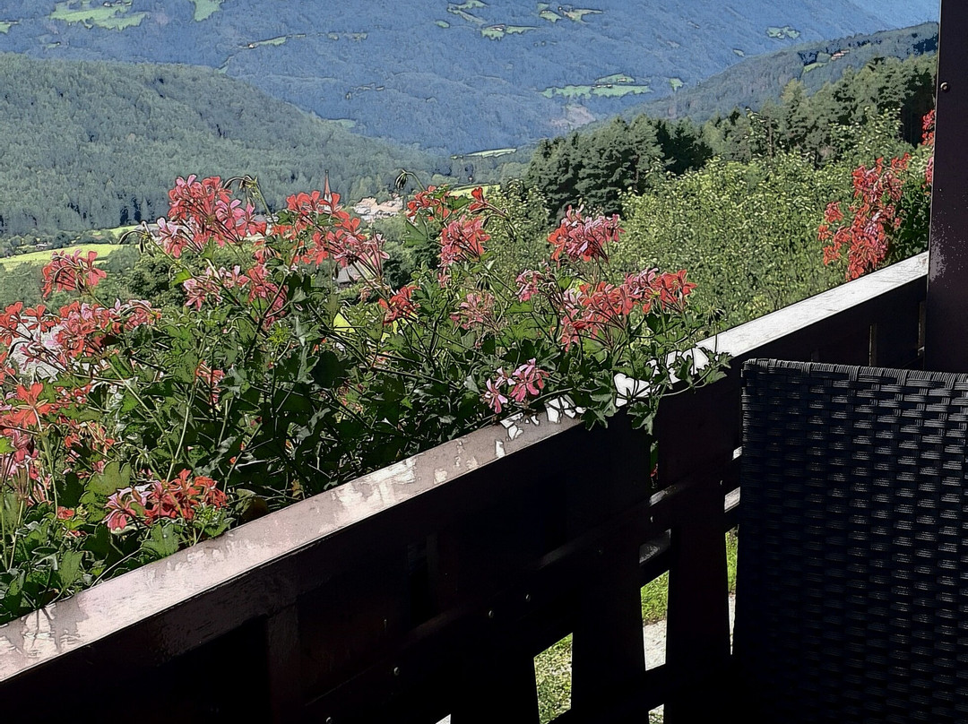 Pension Harrasser主图