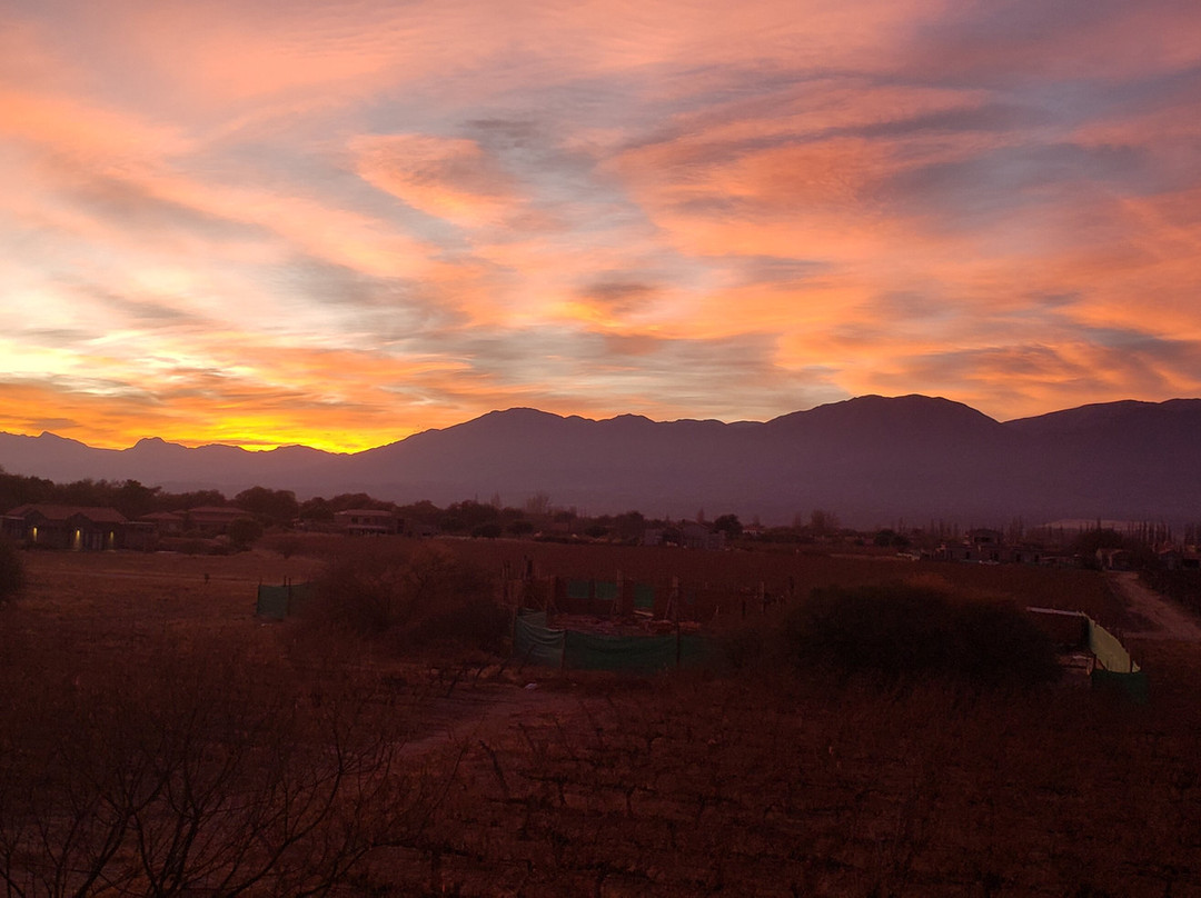 Grace Cafayate主图