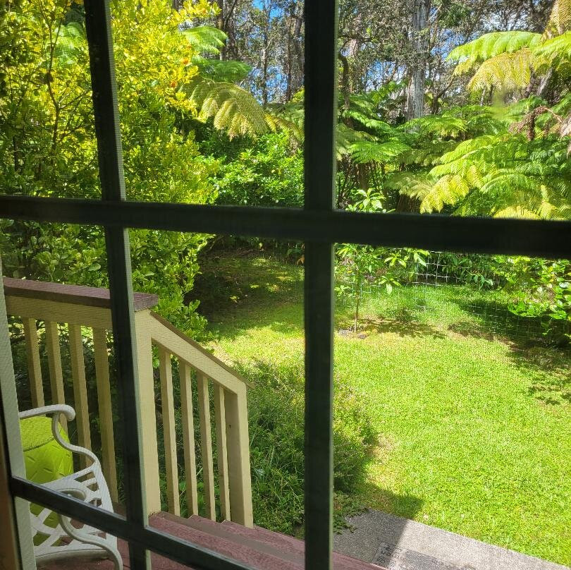 竹玉兰村庄旅社主图