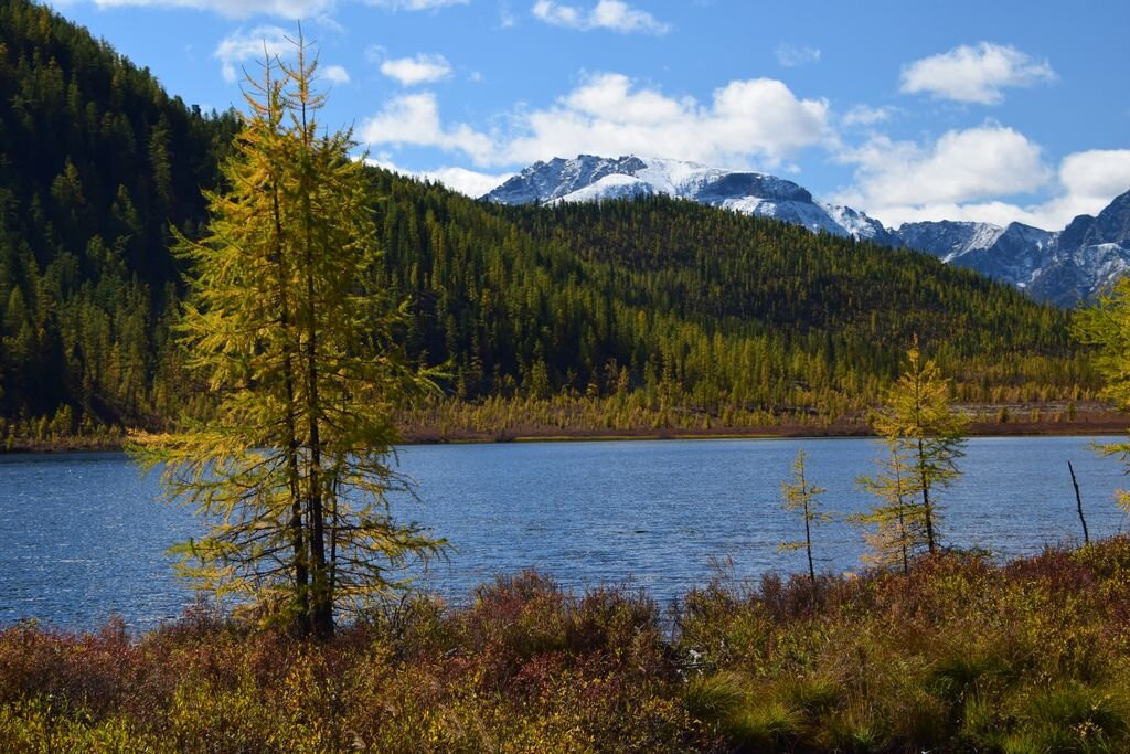 Tofalarskiy Reserve-Bolshaya Rechka必去景点