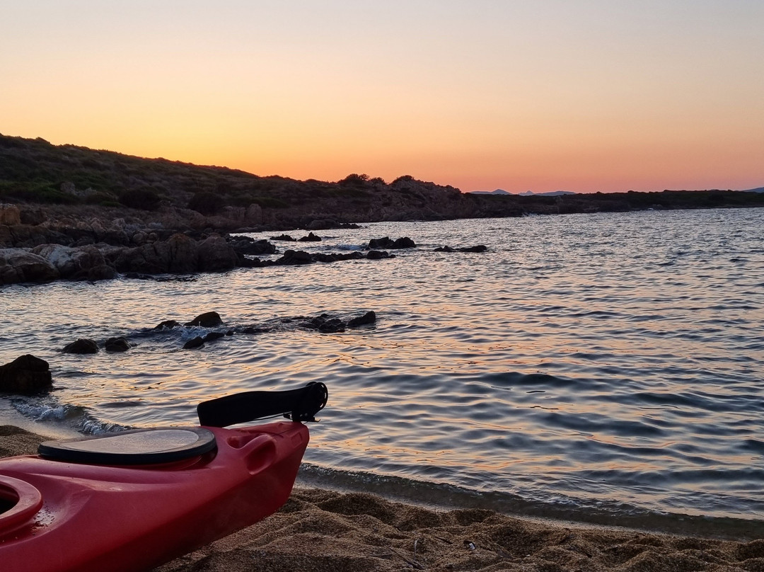 Go Sea Kayak-奥尔比亚必去景点