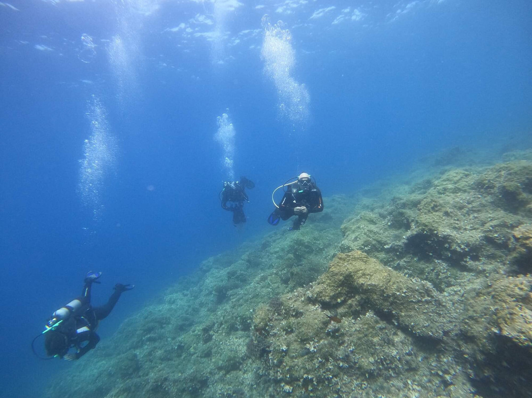 Deep Blue Divers-塞沃塔必去景点