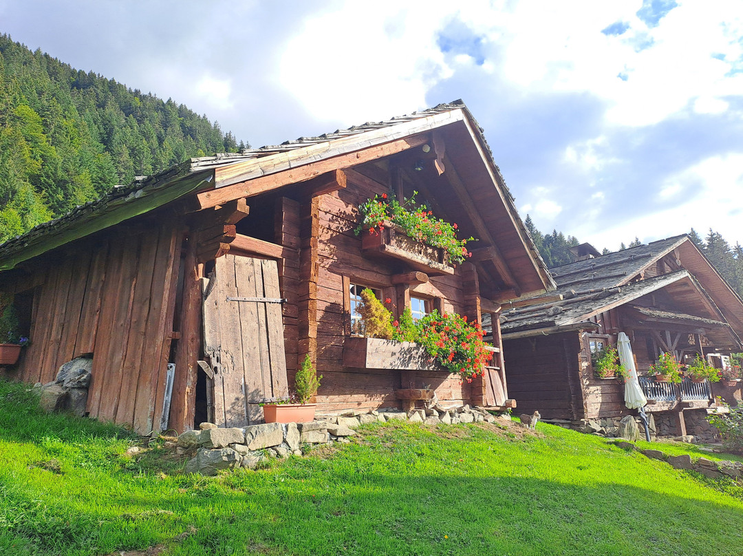 La Ferme des Vonezins主图