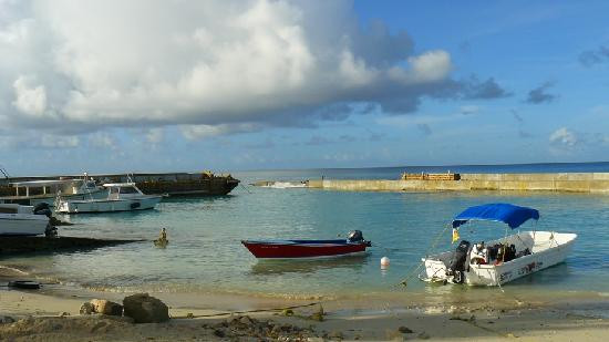 Salt Cay Divers-Salt Cay必去景点