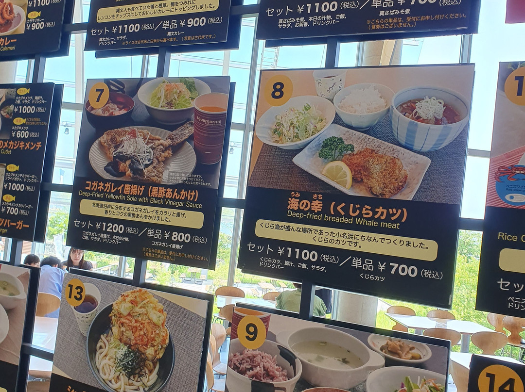 福岛水族馆-盘城市必去景点
