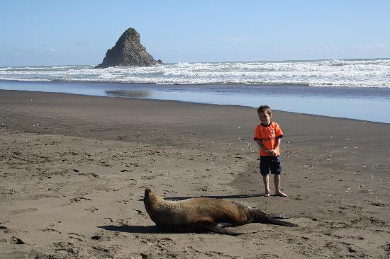 TIME Unlimited Tours-奥克兰中心地区必去景点