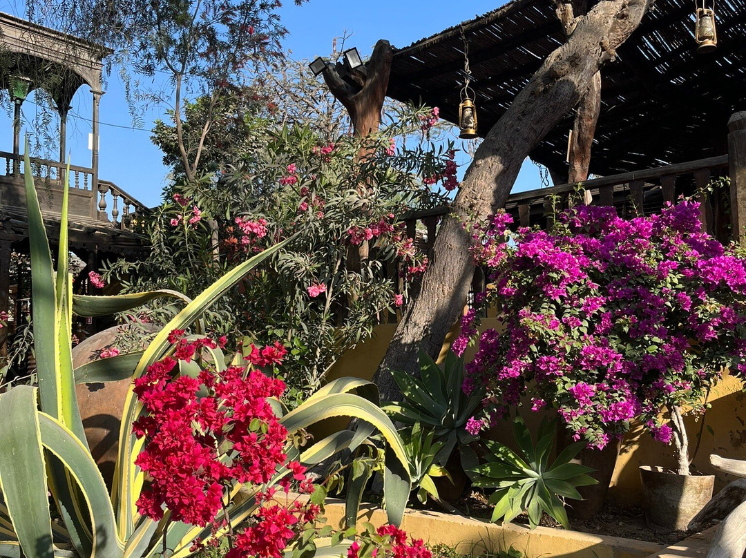 El Carmelo Hotel & Hacienda主图