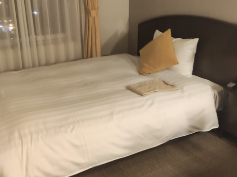 函馆Resol酒店主图