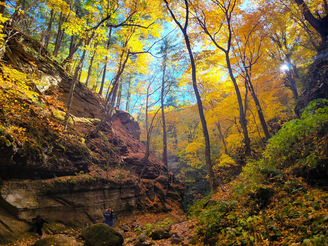 Parfrey's Glen-巴拉布必去景点