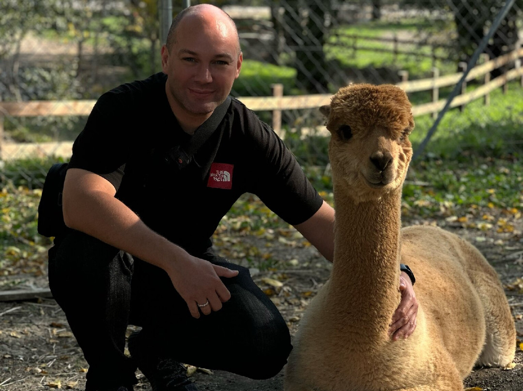 Alpaca Azerbaijan-Meysary必去景点