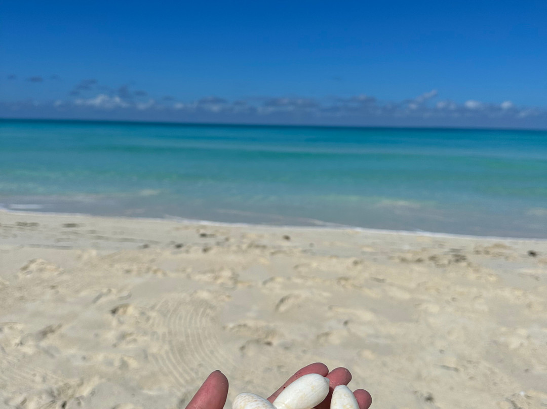 Gran Muthu Cayo Santa Maria主图