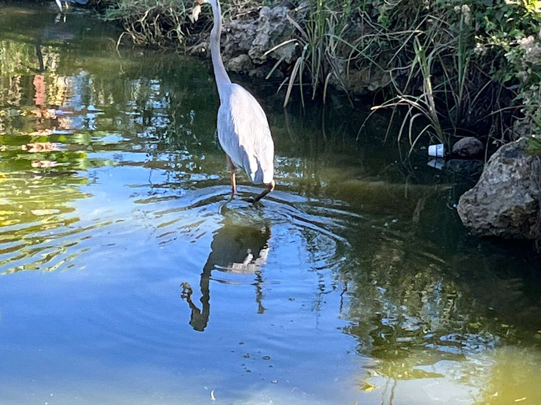 Southern Fresh Farms-迈尔斯堡必去景点