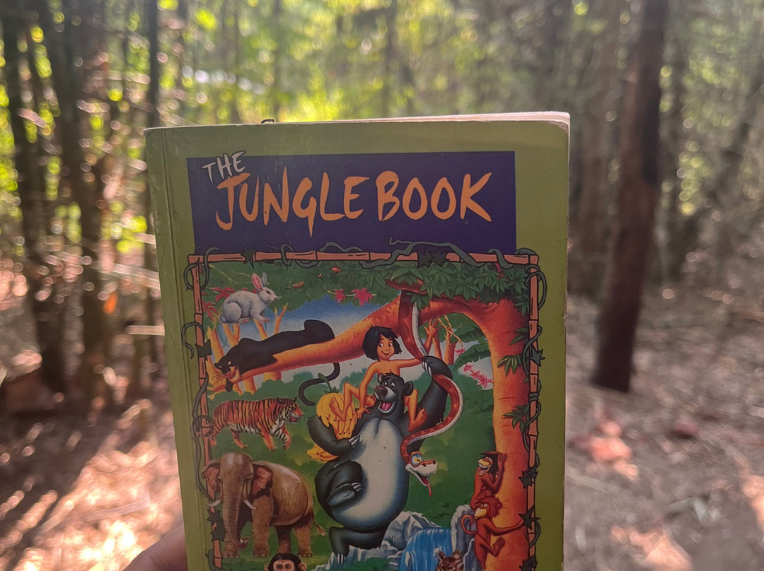 Baghvan, A Taj Safari - Pench National Park主图