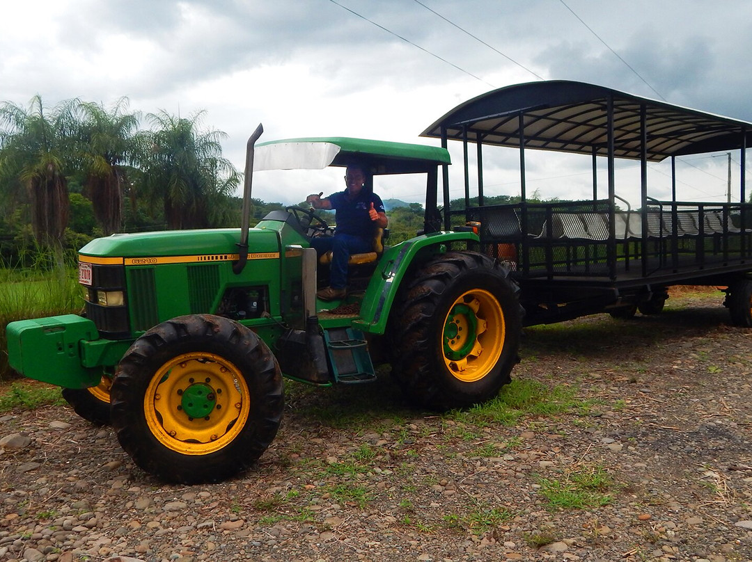 My Time Butterfly Garden-Miramar必去景点