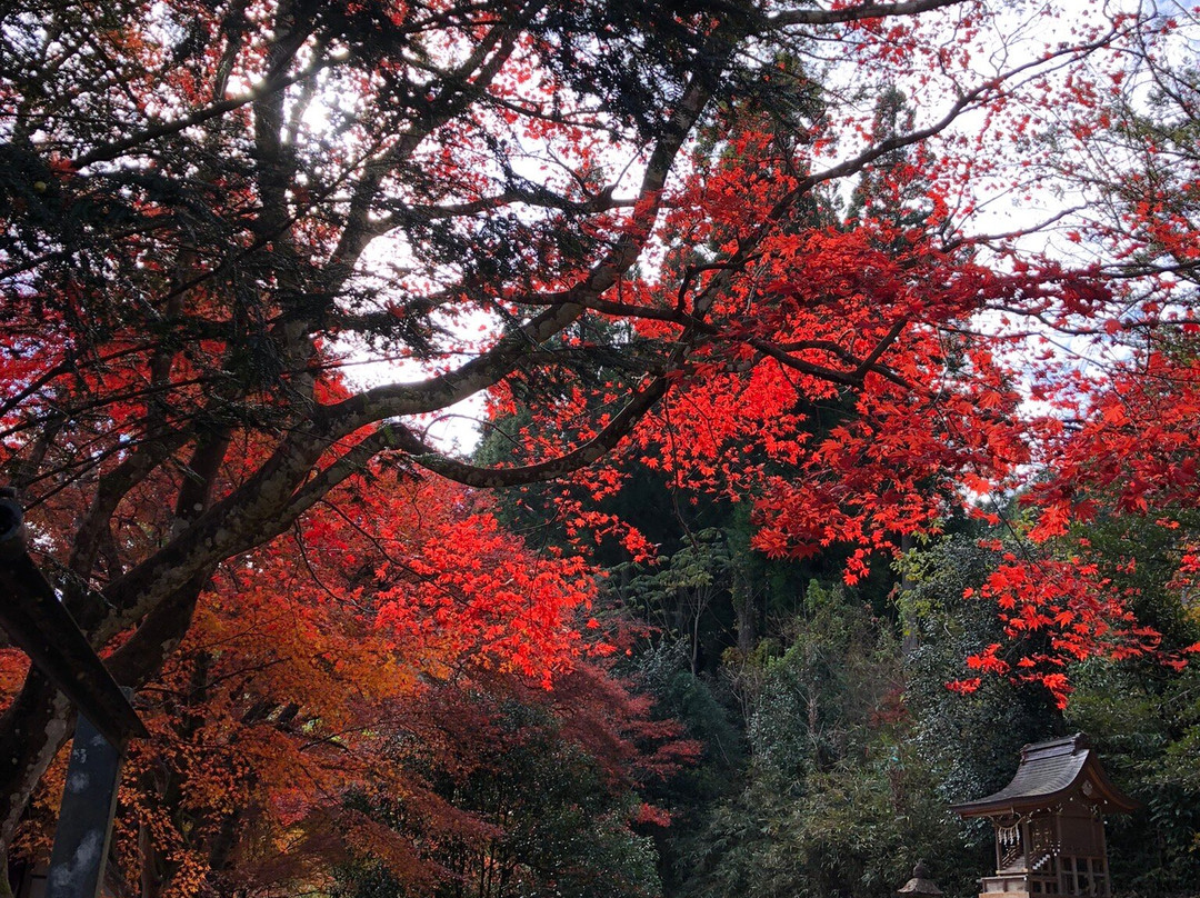 Gyokuryu-ji Temple-下吕市必去景点