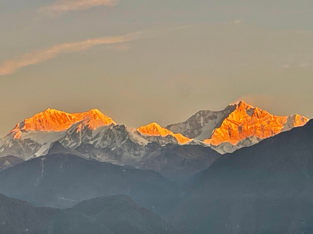 Udaan Hotel Pine Crest主图