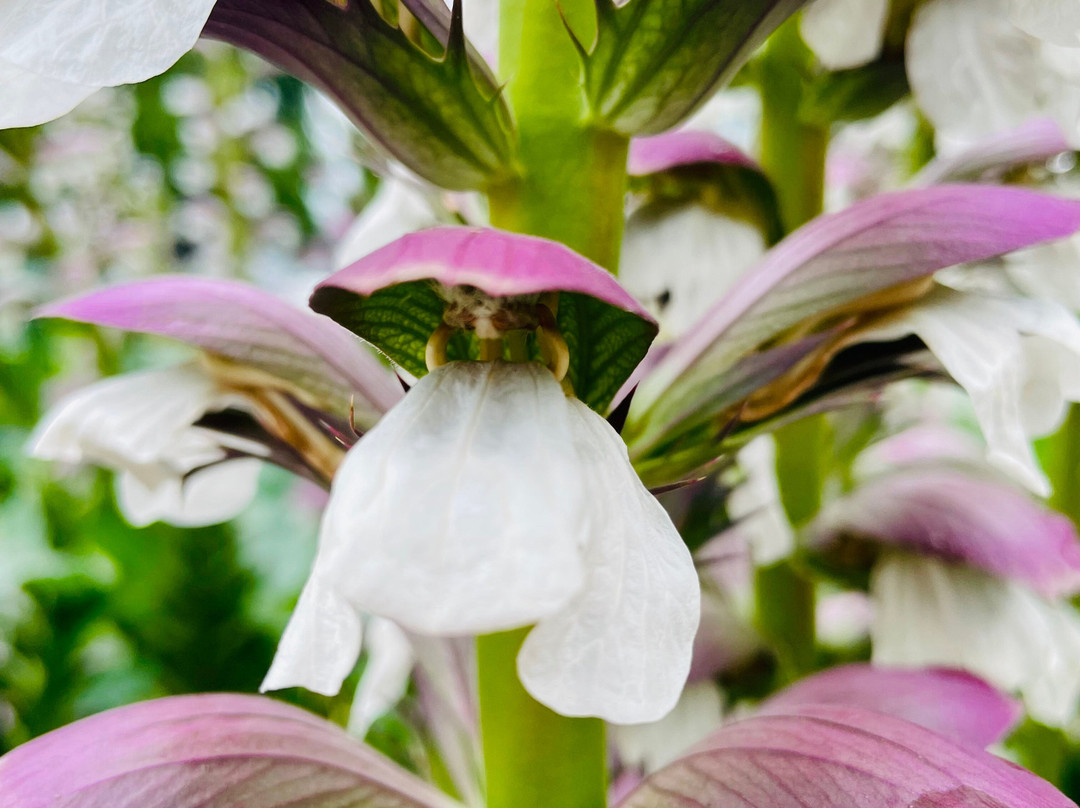 Queen Street Park-沃拉格尔必去景点