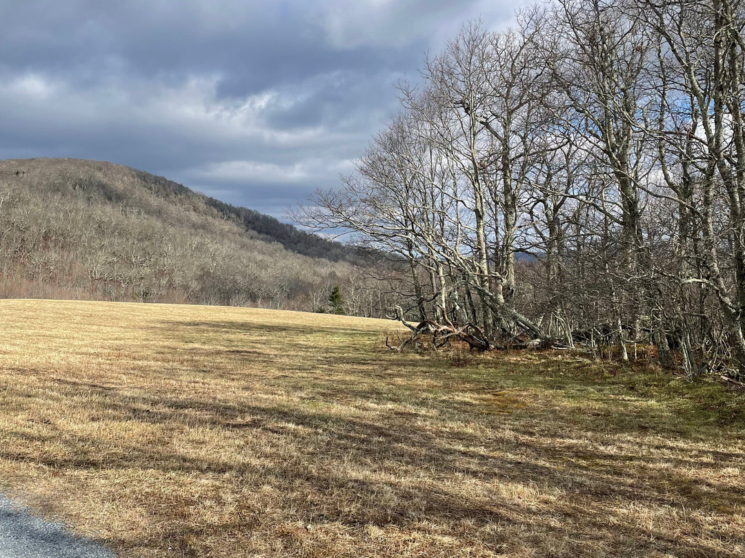 Blowing Rock Trail Rides-布洛英罗克必去景点