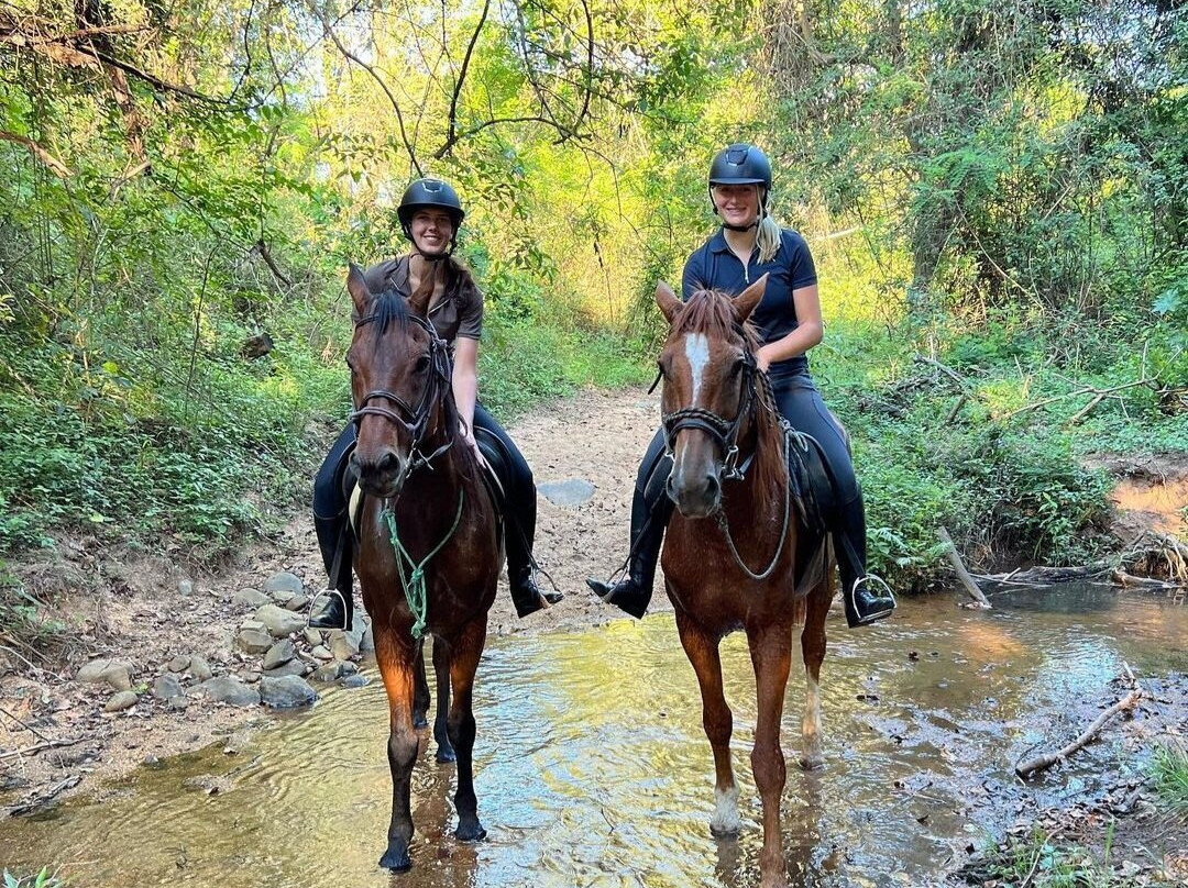 Horse Whispers-雾观必去景点