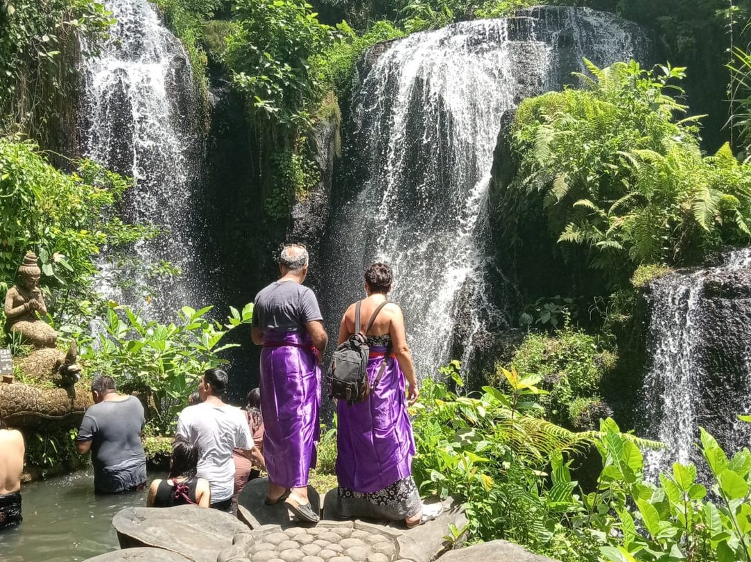 Beji Griya Waterfall景点图片
