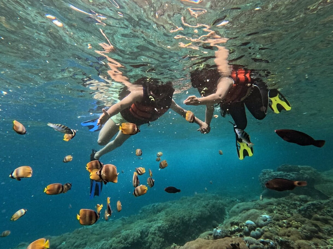 Bali Funtasea-沙努尔必去景点