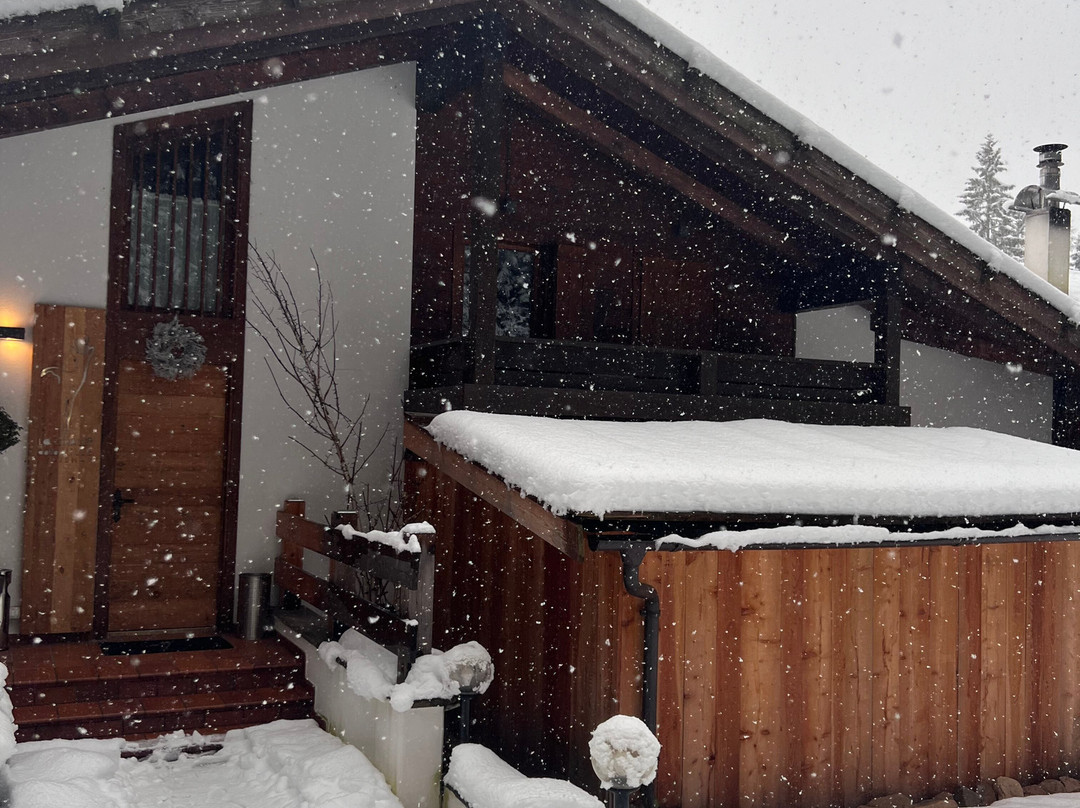 Chalet Delle Ville主图