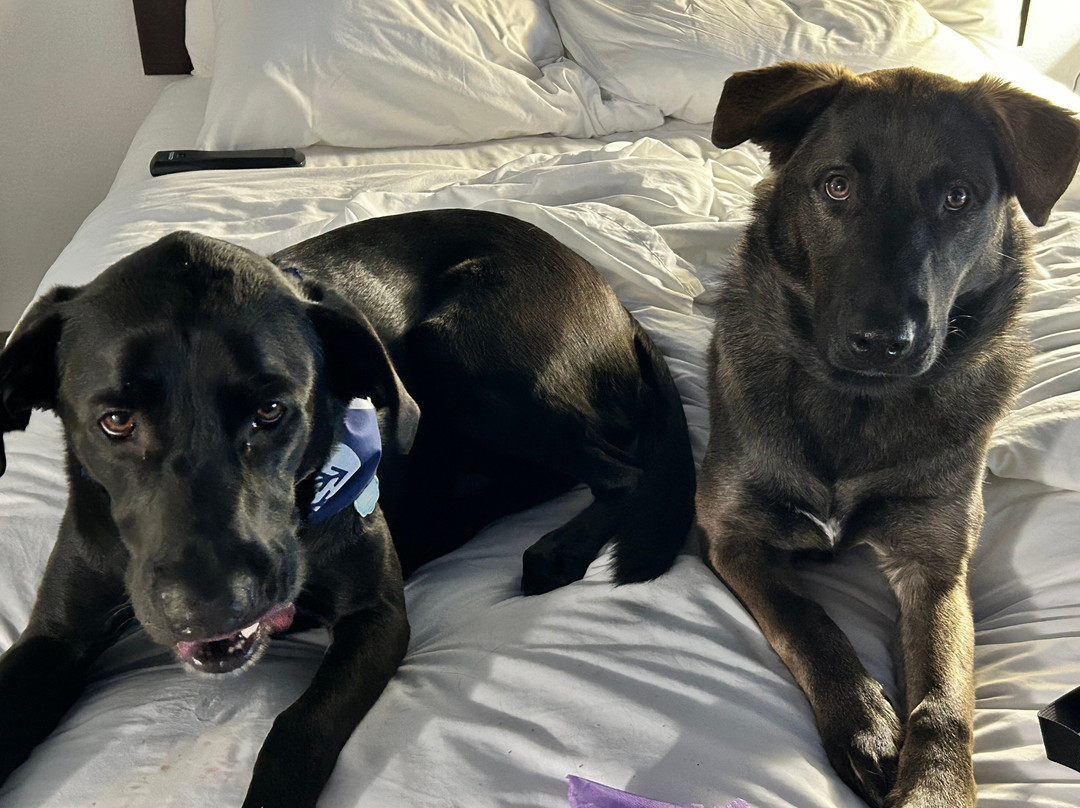 Hotel Downstreet主图