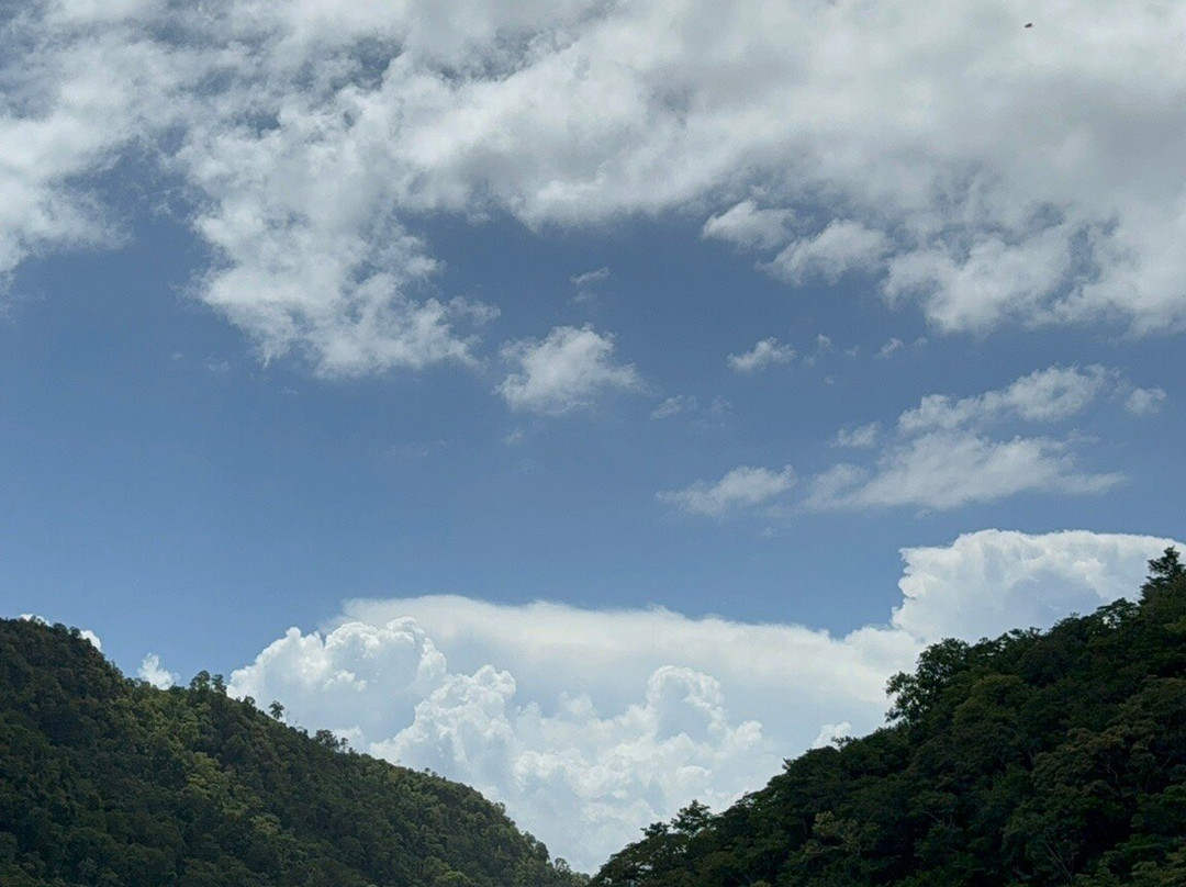 Island Experiences - Eco-Cultural Tours & Yacht Charters-西班牙港必去景点