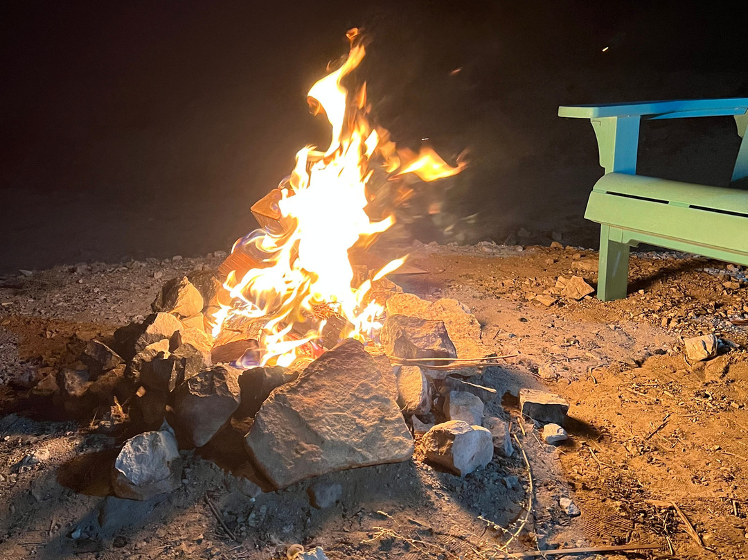 The Desert Olive Farm主图