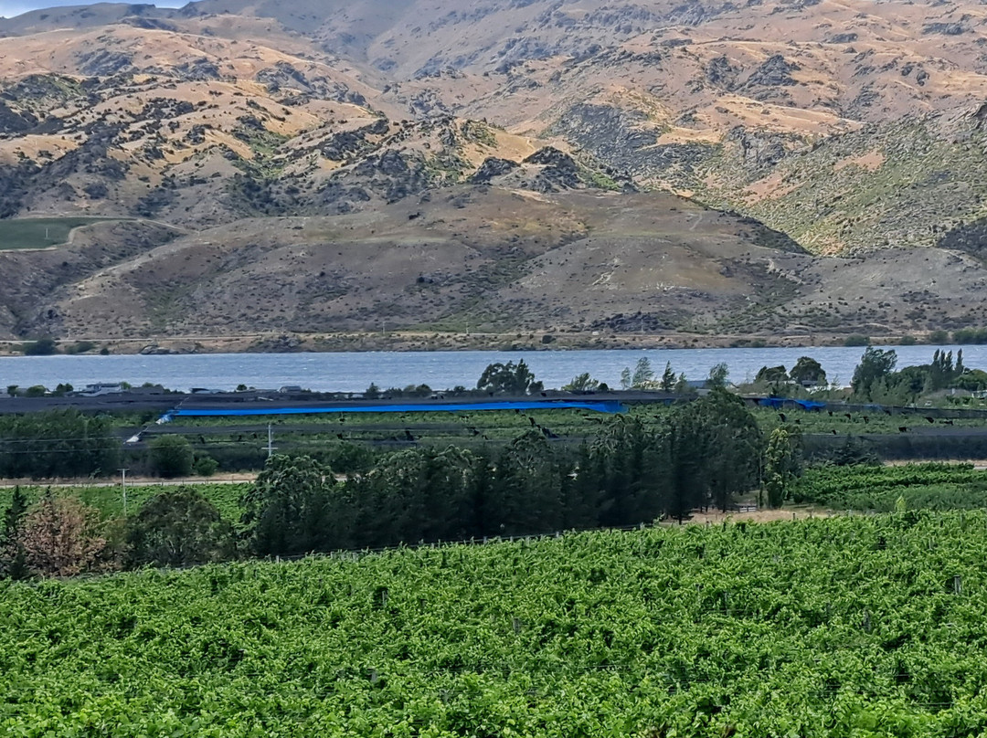 Aroha Luxury New Zealand Tours-Tokoroa必去景点