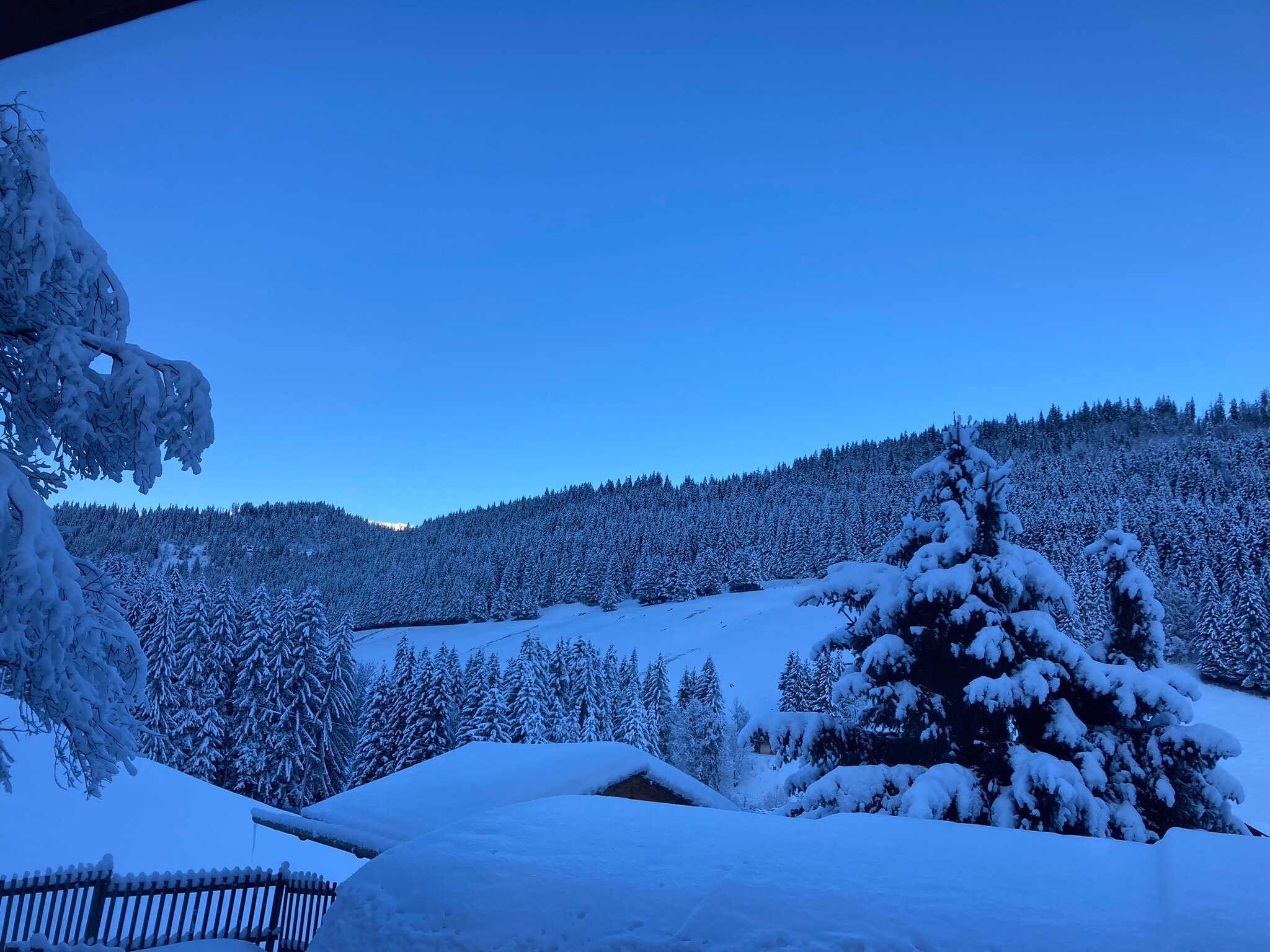 Hôtel Chalet Alpage-官方