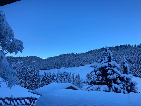 Hôtel Chalet Alpage主图