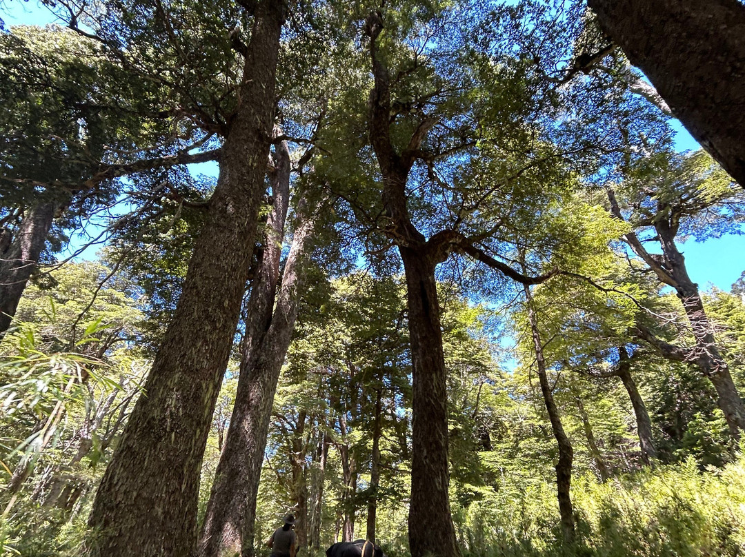 Rancho Carhuello-普孔必去景点