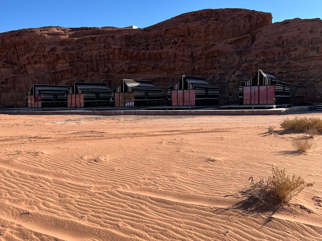 Wadi Rum Desert Dreams景点图片