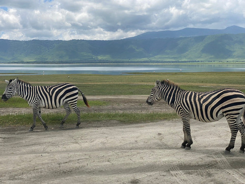 Vision Safari & Tours-阿鲁沙必去景点