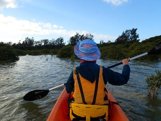 Yagaji Ecotour Network-名护市必去景点