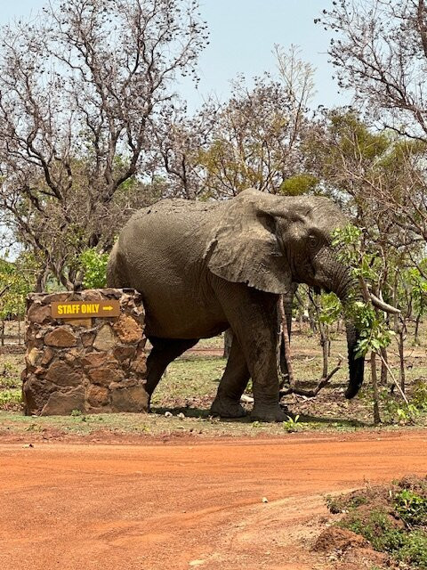 Grassroot Tours Ghana-Tamale必去景点