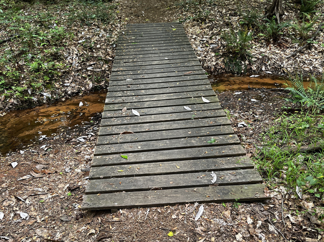 Munny Sokol Park-Northport必去景点