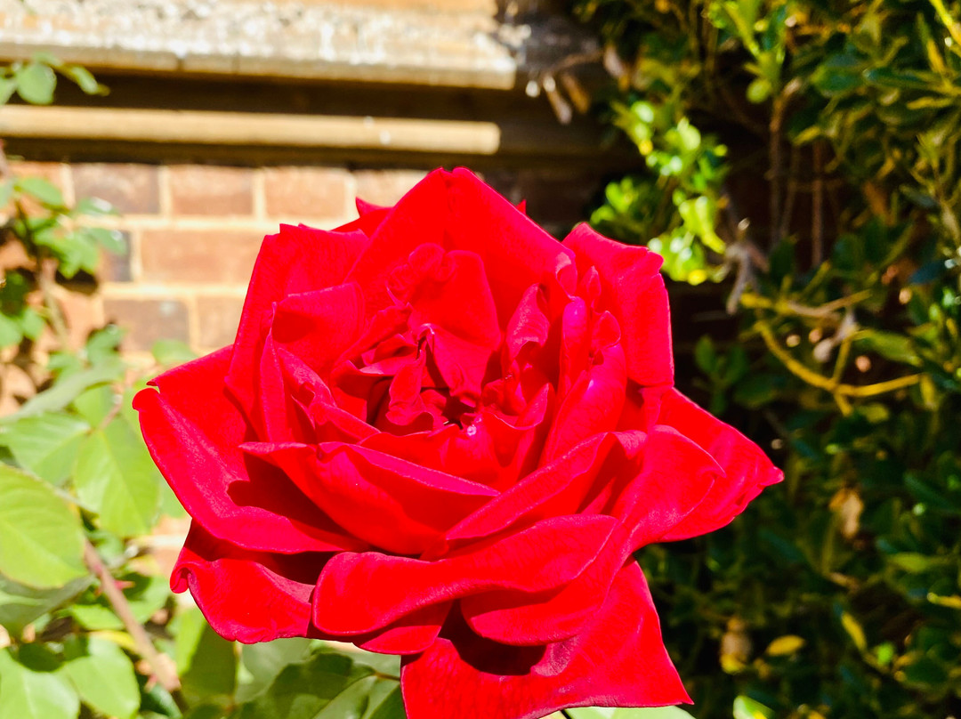Saint Luke's Anglican Church